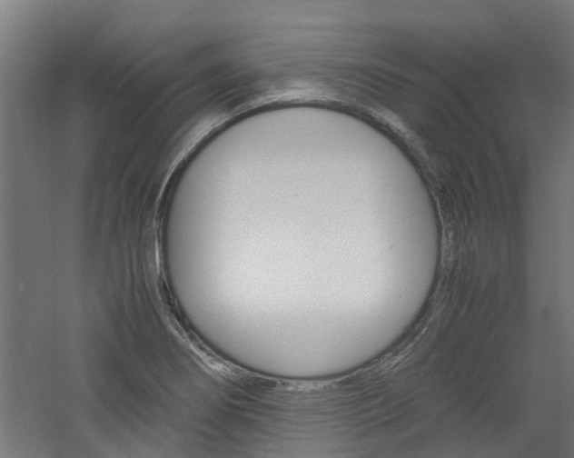 X0000060781274200511100959