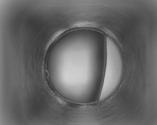 X0000060781277200511100959