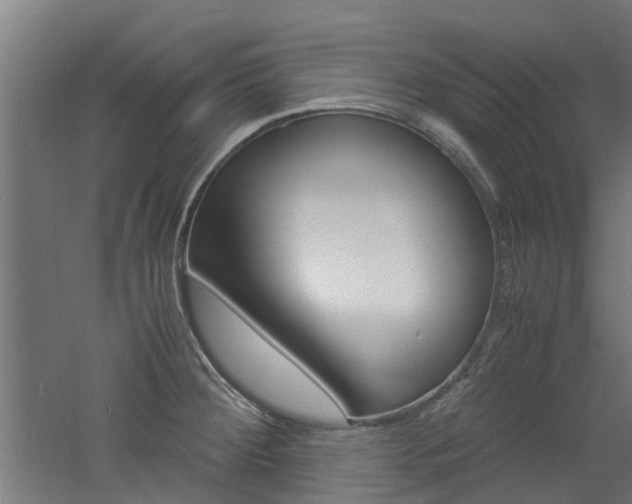 X0000060781284200511100958