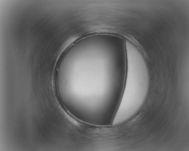 X0000060781285200511100958
