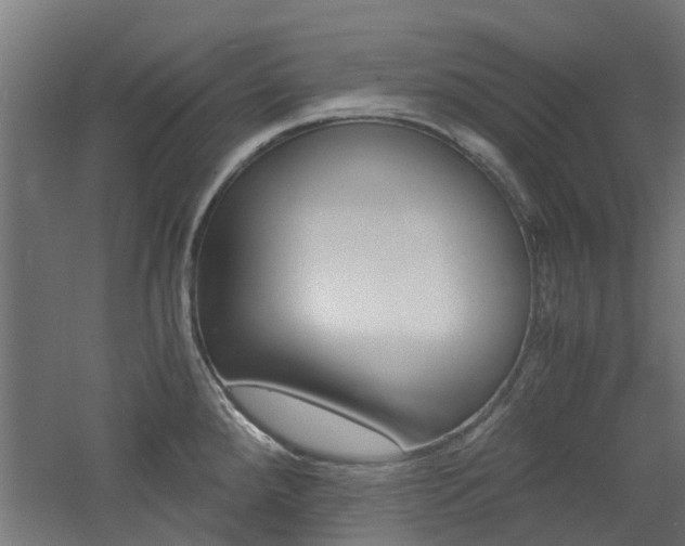 X0000060781288200511100958