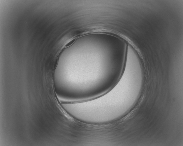 X0000060781289200511100958
