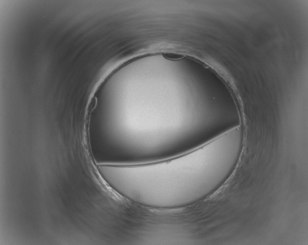 X0000060781296200511100958