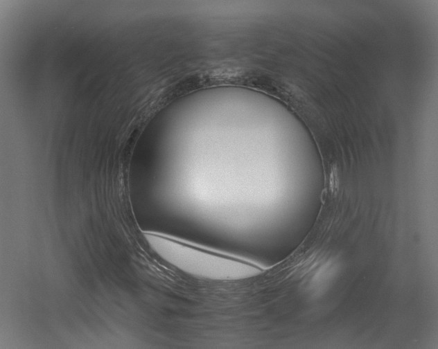 X0000060781299200511100958