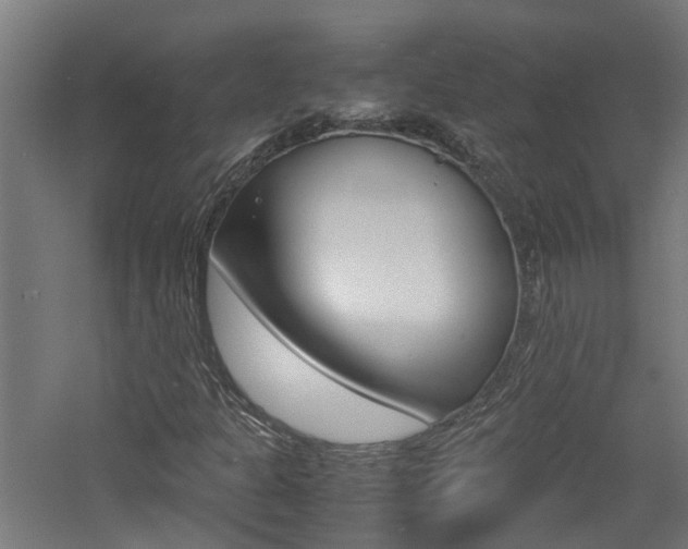 X0000060781301200511100958