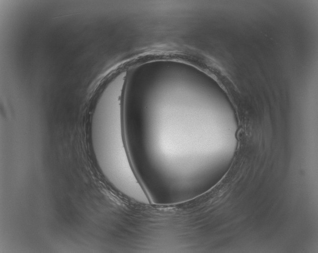 X0000060781304200511100958