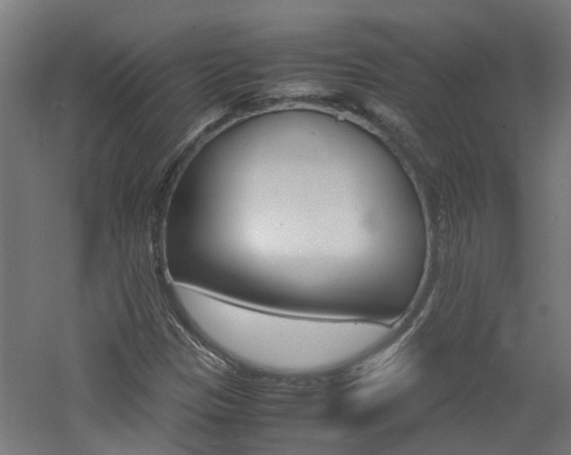 X0000060781305200511100958