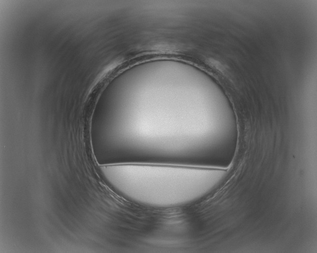 X0000060781307200511100958