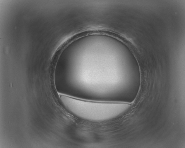 X0000060781311200511100958