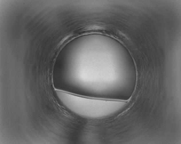 X0000060781313200511100958