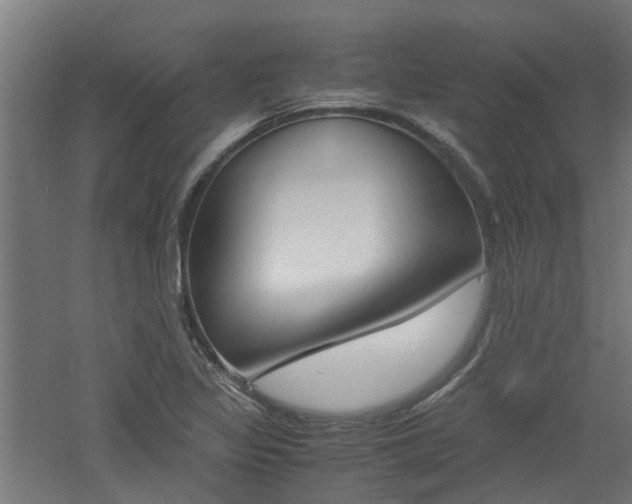 X0000060781317200511100958