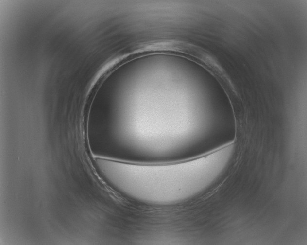 X0000060781328200511100958