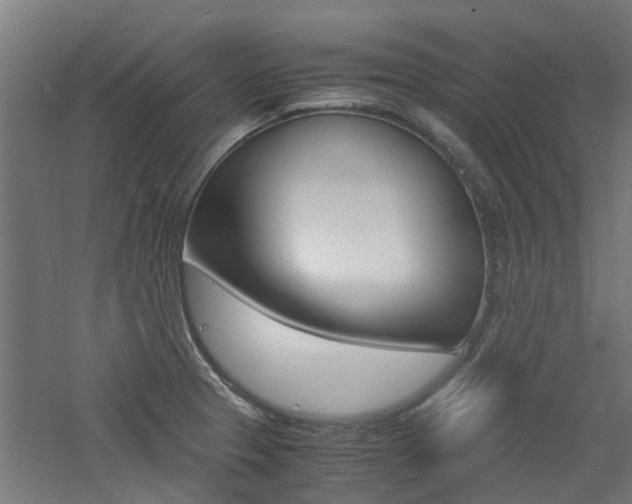 X0000060781329200511100958