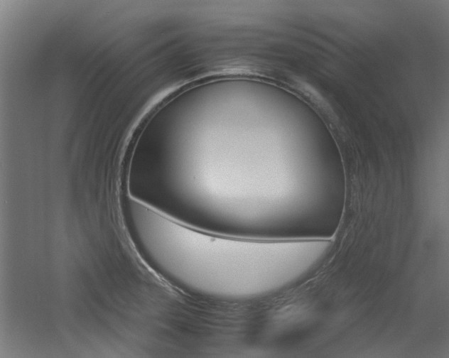 X0000060781331200511100958
