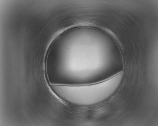 X0000060781335200511100958