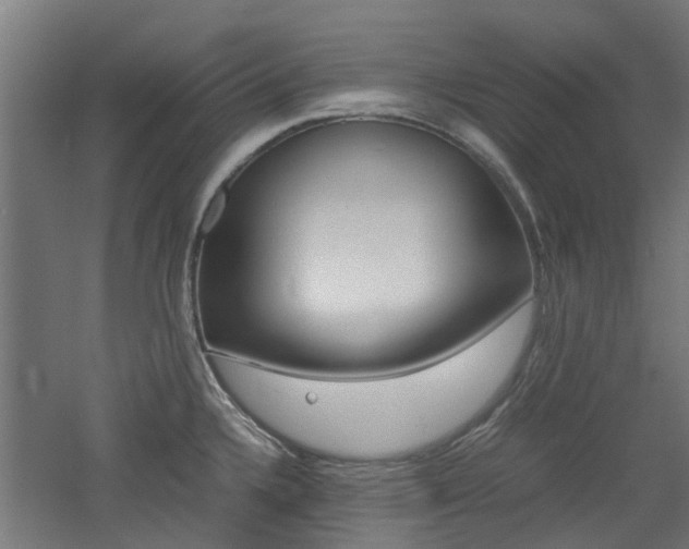 X0000060781336200511100958