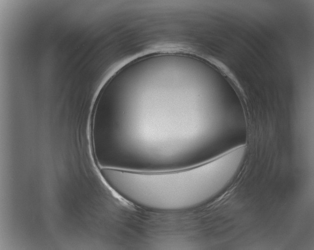X0000060781343200511100958