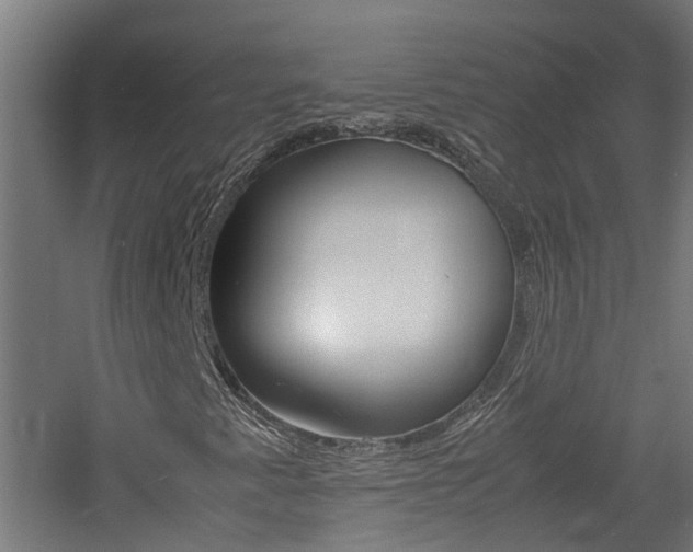 X0000060781345200511100957