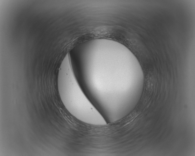 X0000060781346200511100957