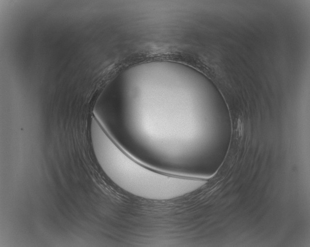 X0000060781348200511100957