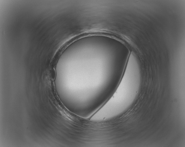 X0000060781356200511100957