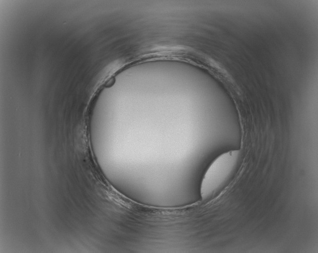 X0000060781362200511100957