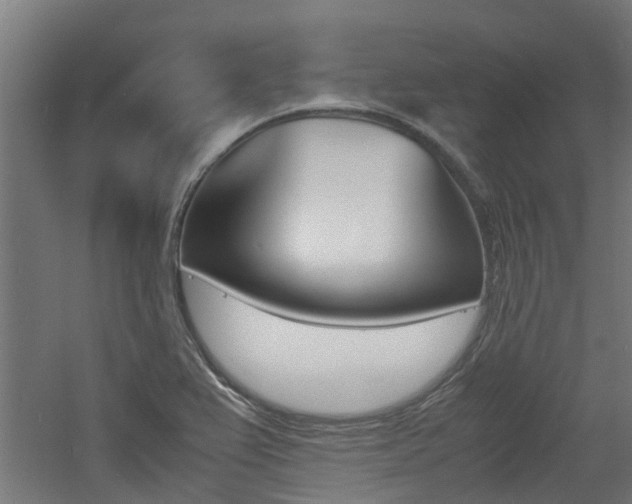 X0000060781367200511100957