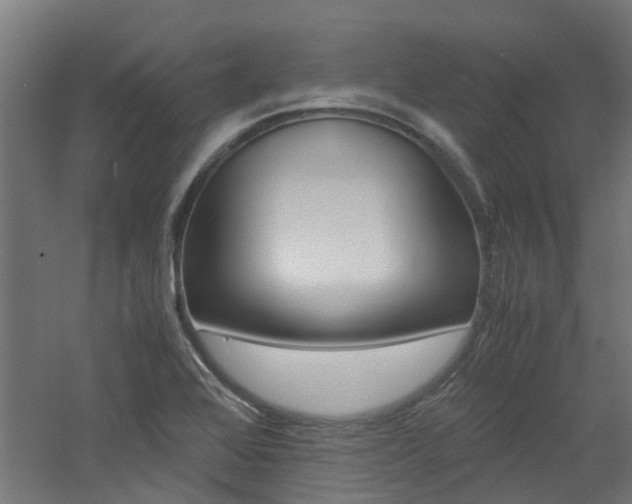 X0000060781368200511100957