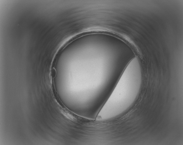 X0000060781372200511100957