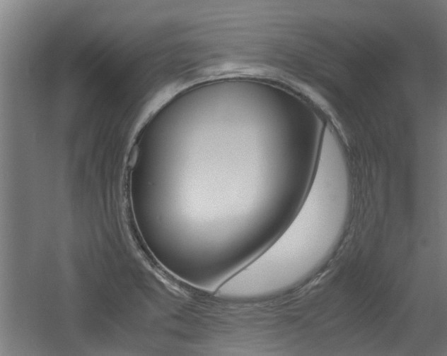 X0000060781373200511100957