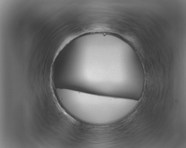 X0000060781374200511100957