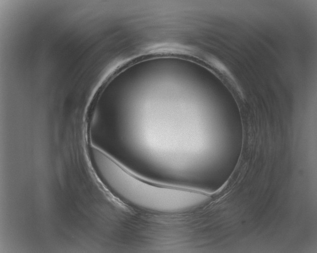 X0000060781376200511100957