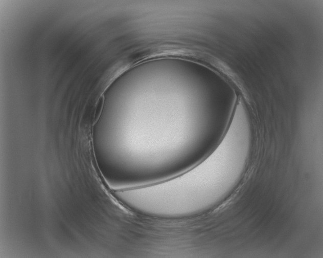 X0000060781377200511100957