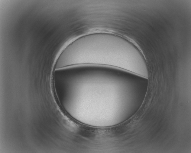 X0000060781379200511100957