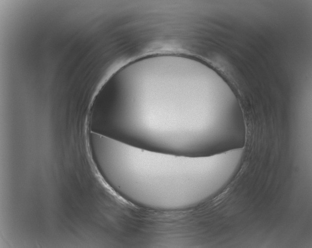 X0000060781382200511100957