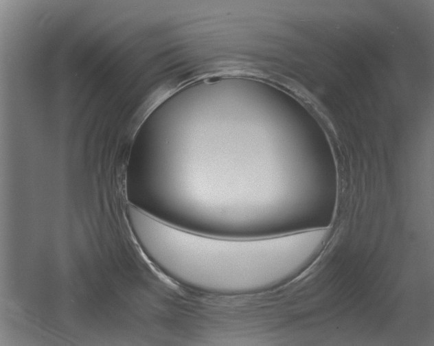 X0000060781385200511100957
