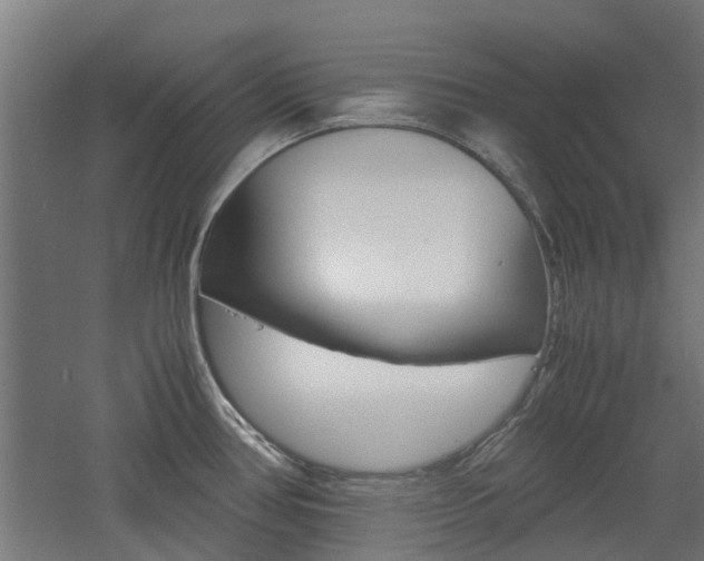 X0000060781386200511100957