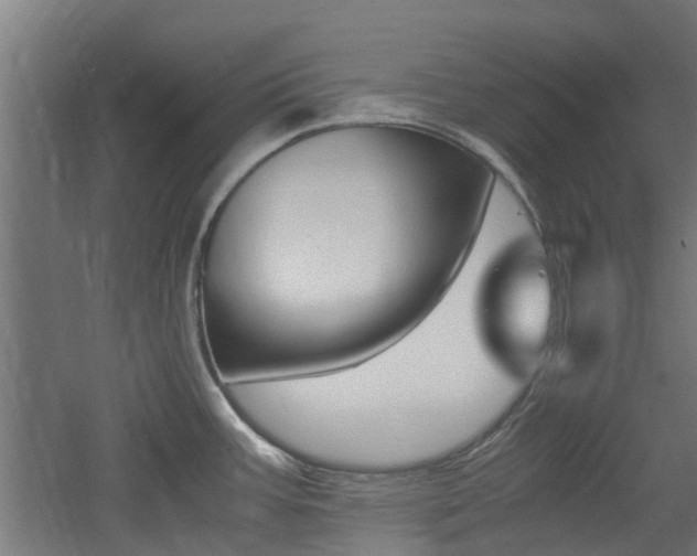 X0000060781387200511100957