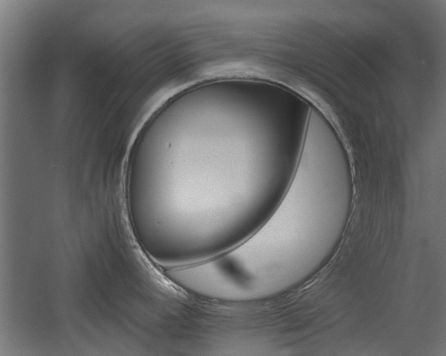 X0000060781392200511100957