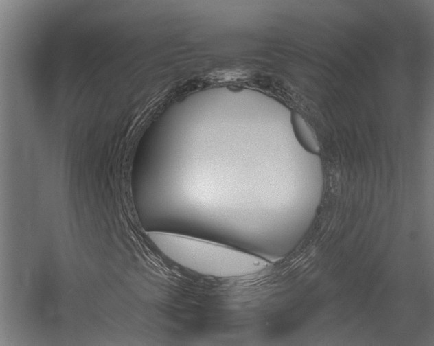 X0000060781393200511100956
