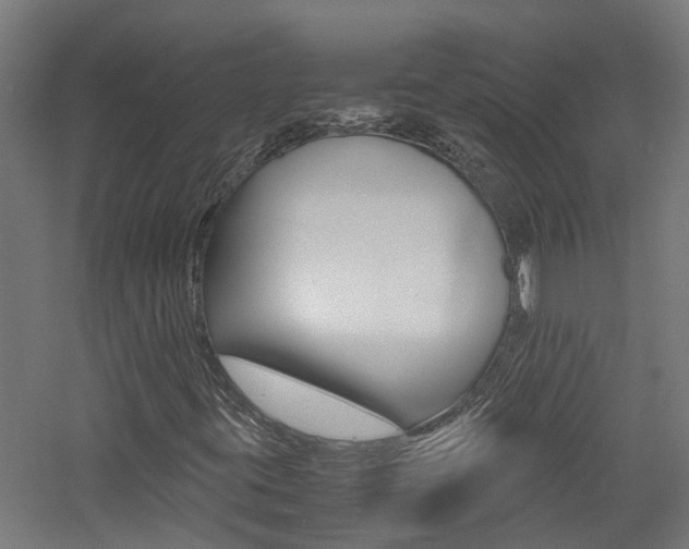 X0000060781395200511100956