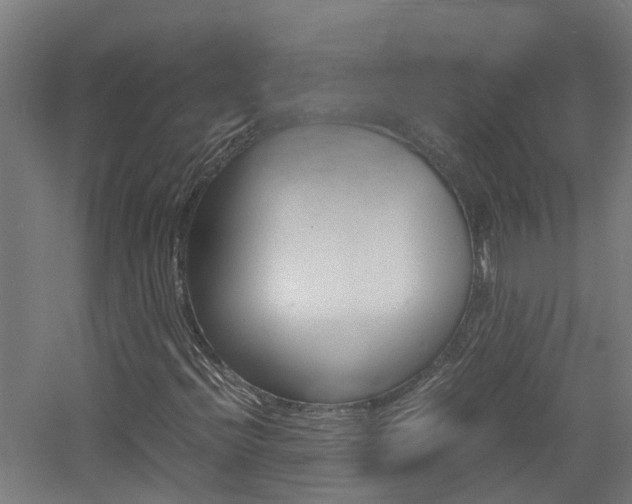 X0000060781396200511100956
