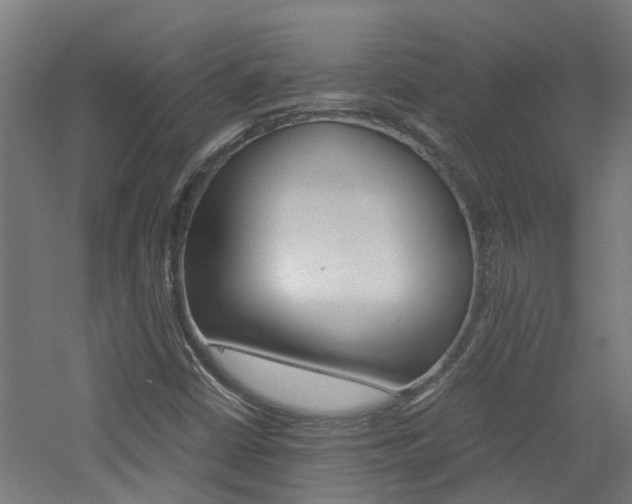 X0000060781402200511100956