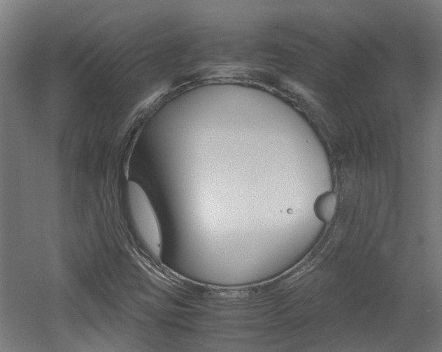 X0000060781403200511100956