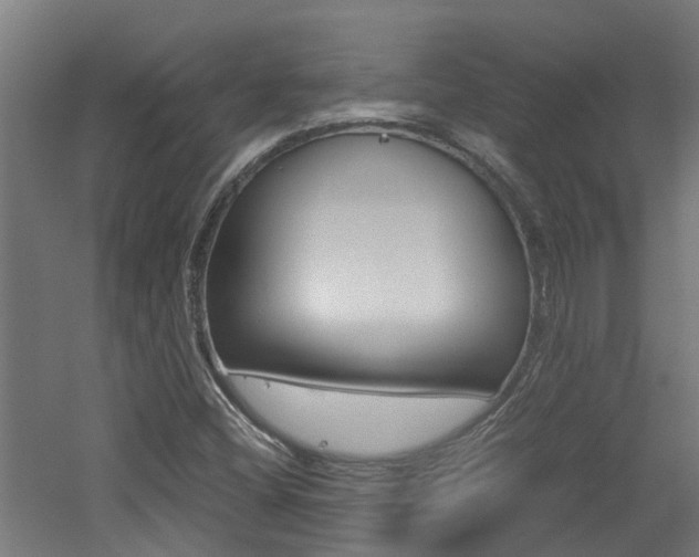 X0000060781404200511100956