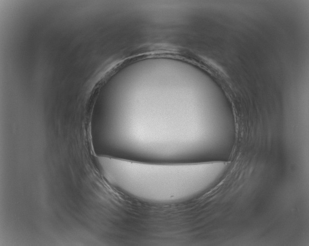X0000060781407200511100956