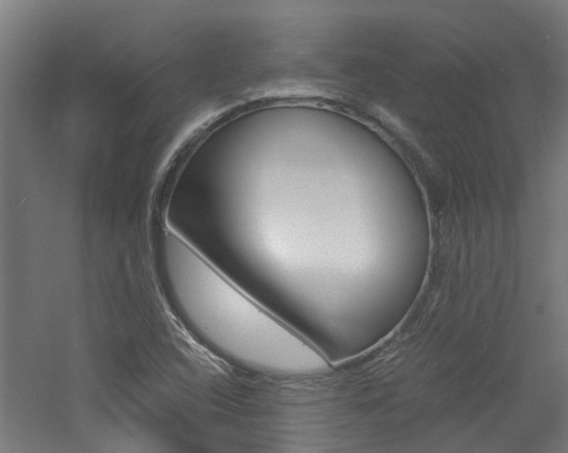 X0000060781408200511100956