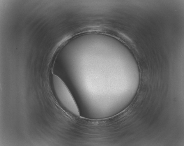 X0000060781411200511100956