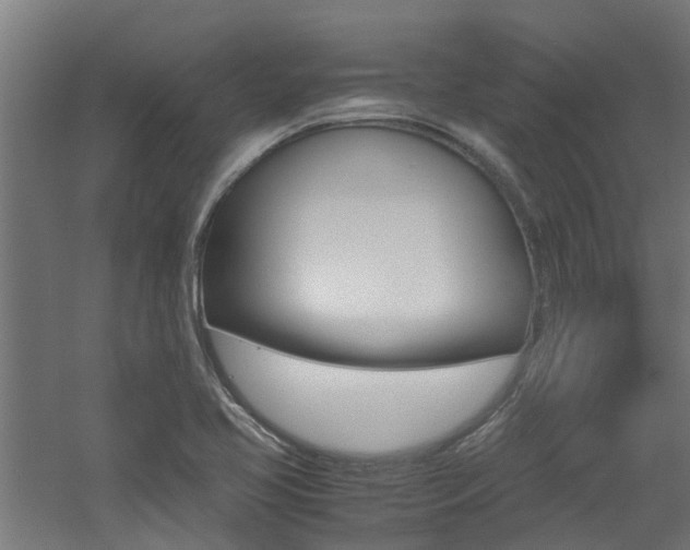 X0000060781413200511100956