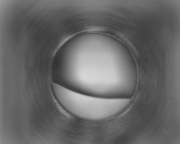 X0000060781417200511100956